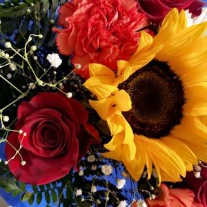 Meet your Posher, Nancy